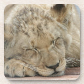 Löwe Untersetzer (Vorderseite)