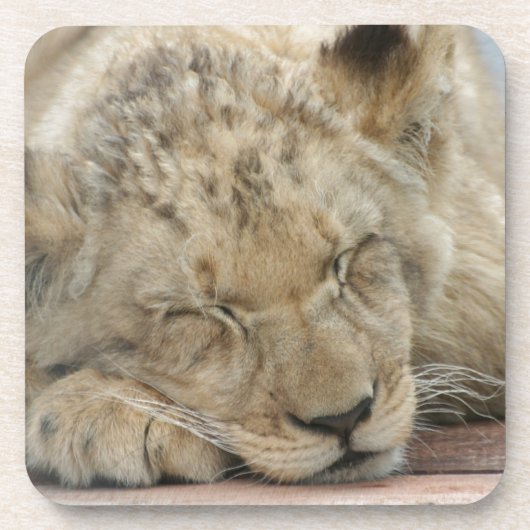 Löwe Untersetzer (Vorderseite)