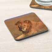 Löwe Untersetzer (Linke Seite)