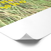 Löwe, versteckt poster (Ecke)