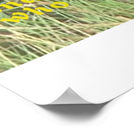 Löwe, versteckt poster (Ecke)