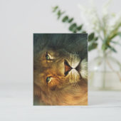 Löwe von Judah - Löwe - Rastafari - Postkarte (Stehend Vorderseite)