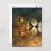 Löwe von Judah - Löwe - Rastafari - Postkarte (Vorne/Hinten)