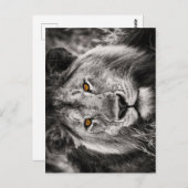 Löwe von Judah - Löwe - Rastafari - Postkarte (Vorne/Hinten)