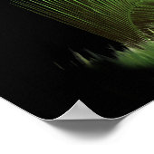 Löwe von Judah Poster (Ecke)