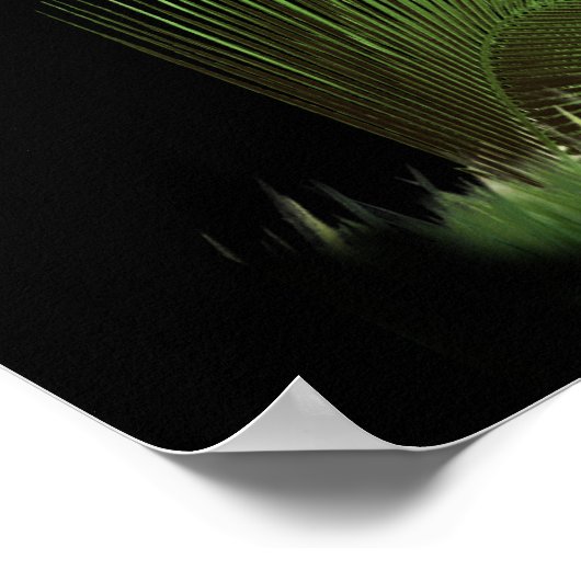 Löwe von Judah Poster (Ecke)