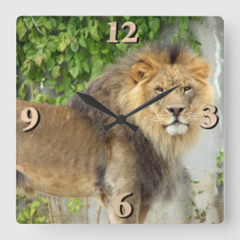 Löwe von Maasai Mara 2 Quadratische Wanduhr