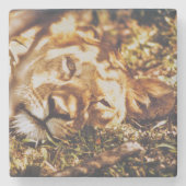 Löwe wecke die Augen auf dich Untersetzer (Vorderseite)