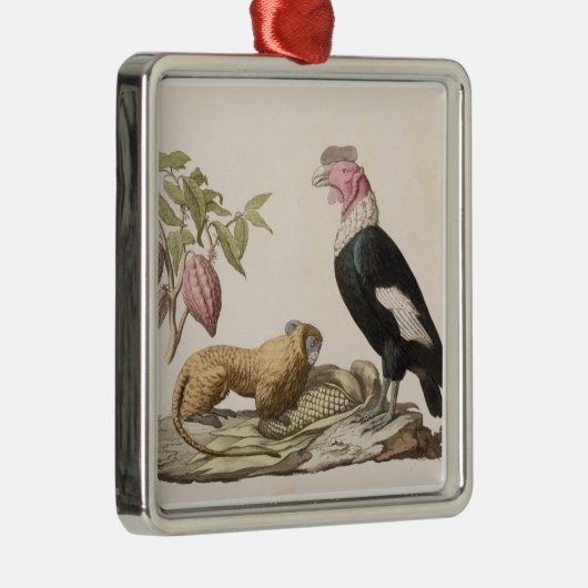 Löweaffe und -kondor, gebürtig nach Chilen oder Ornament Aus Metall (Rechts)