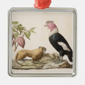 Löweaffe und -kondor, gebürtig nach Chilen oder Ornament Aus Metall (Vorne)