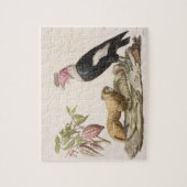 Löweaffe und -kondor, gebürtig nach Chilen oder Puzzle (Vertikal)