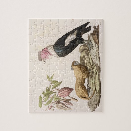 Löweaffe und -kondor, gebürtig nach Chilen oder Puzzle (Vertikal)