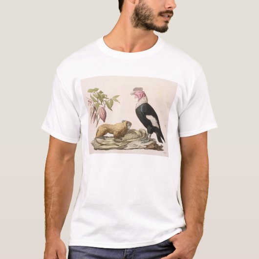 Löweaffe und -kondor, gebürtig nach Chilen oder T-Shirt (Vorderseite)