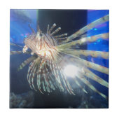 Löwefische Fliese (Vorderseite)