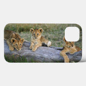 Löwejunge auf Klotz, Panthera Löwe, Masai Mara, 2 Case-Mate iPhone Hülle (Rückseite (Horizontal))