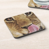 Löwejunges (Panthera Löwe) Nase, Nahaufnahme Getränkeuntersetzer (Linke Seite)