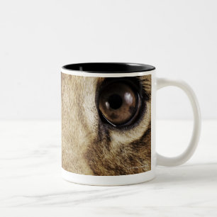 Löwejunges (Panthera Löwe) Nase, Nahaufnahme Zweifarbige Tasse