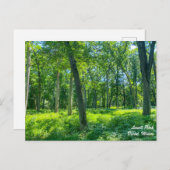 Lowell Park Dixon Illinois Postkarte (Vorne/Hinten)