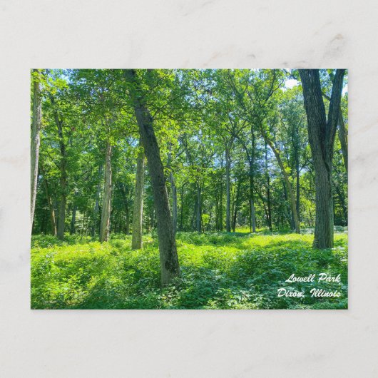 Lowell Park Dixon Illinois Postkarte (Vorderseite)