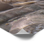 Löwen1-Poster Poster (Ecke)