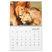 Löwen [1] Mauerkalender Kalender (Jan 2027)