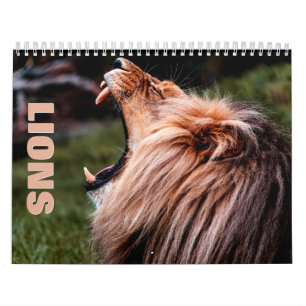 Löwen [2] Mauerkalender Kalender