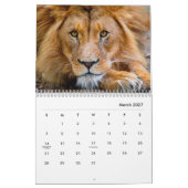 Löwen [2] Mauerkalender Kalender (Mär 2027)