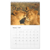 Löwen - afrikanischer Ikonen-Kalender 2014 Kalender (Feb 2027)