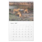Löwen - afrikanischer Ikonen-Kalender 2014 Kalender (Jan 2027)