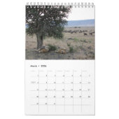 Löwen - afrikanischer Ikonen-Kalender 2014 Kalender (Mär 2026)
