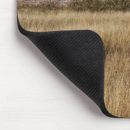 Löwen auf einem schlichten Afrika Mousepad (Ecke)