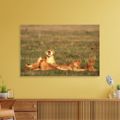 Löwen auf einer Savanne Leinwanddruck (Insitu (Wohnzimmer))