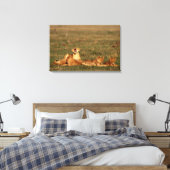 Löwen auf einer Savanne Leinwanddruck (Insitu (Schlafzimmer))