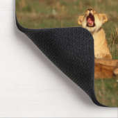 Löwen auf einer Savanne Mousepad (Ecke)