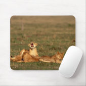 Löwen auf einer Savanne Mousepad (Mit Mouse)