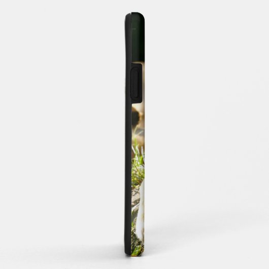 Löwen Case-Mate iPhone Hülle (Hinten/Rechts)