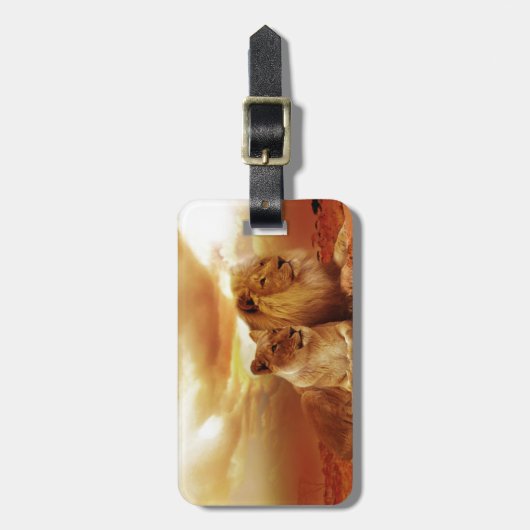 Löwen entspannen in Afrika Gepäckanhänger (Vorderseite vertikal)