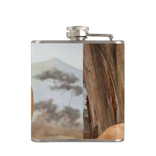 Löwen Flachmann (Rückseite)