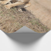 Löwen Geschenkpapier (Ecke)