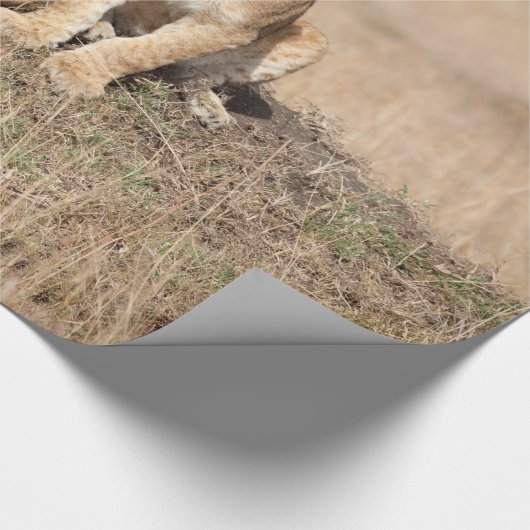 Löwen Geschenkpapier (Ecke)