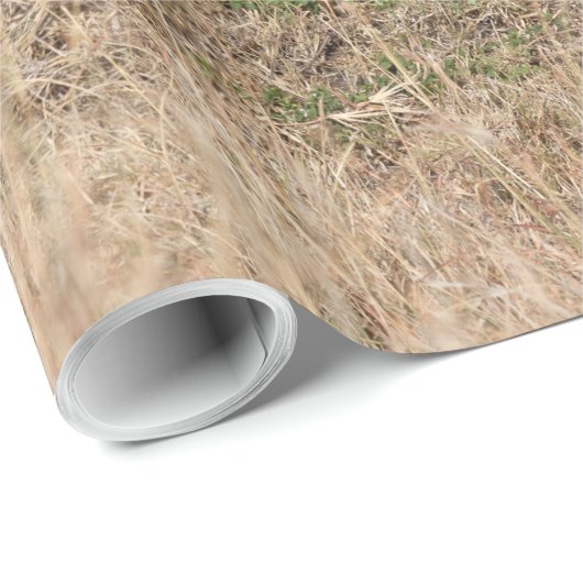 Löwen Geschenkpapier (Rolleneckpunkt)