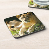 Löwen Getränkeuntersetzer (Linke Seite)