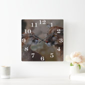 Löwen in Liebe Quadratische Wanduhr (Zuhause)