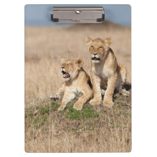 Löwen Klemmbrett