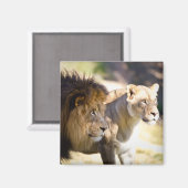 Löwen Magnet (Vorderseite/Rückseite)