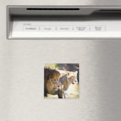 Löwen Magnet (In Situ (Geschirrspüler))