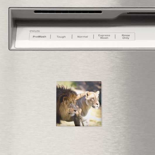 Löwen Magnet (In Situ (Geschirrspüler))