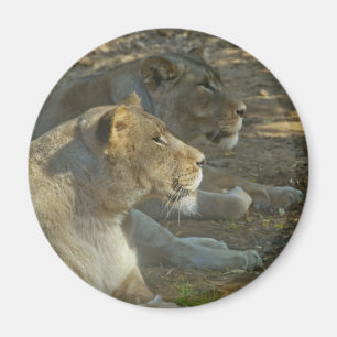 Löwen Magnet