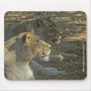 Löwen-Mauspad Mousepad