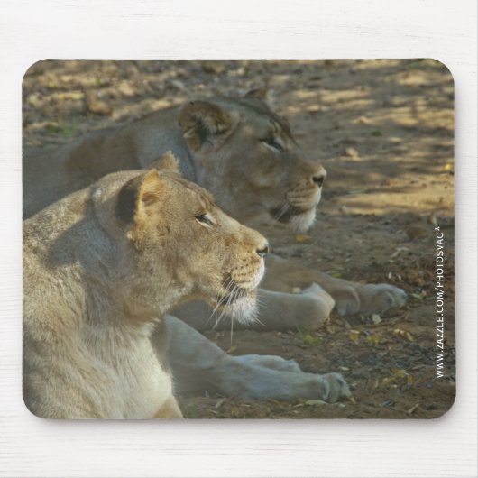 Löwen-Mauspad Mousepad (Vorne)